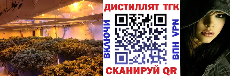 ТГК Wax Мышкин