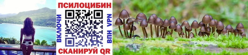 Псилоцибиновые грибы GOLDEN TEACHER продажа наркотиков Мышкин